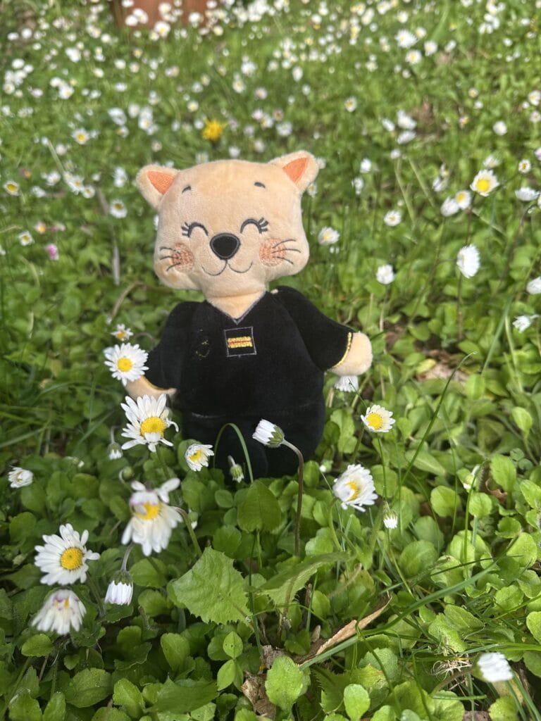 doudou gendarme gendarmerie peluche gendarme 4 créatrice doudou sur peymeinade oursonautes